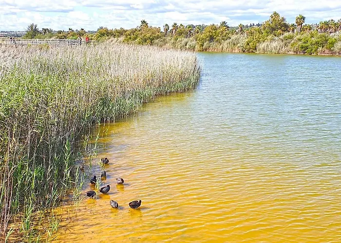Rooftop With Sea Views By Algarve Dream Holidays